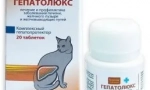 Подготовка hepatolyux: съдействие в борбата срещу чернодробните заболявания при котки
